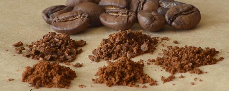 Granulatia cafelei